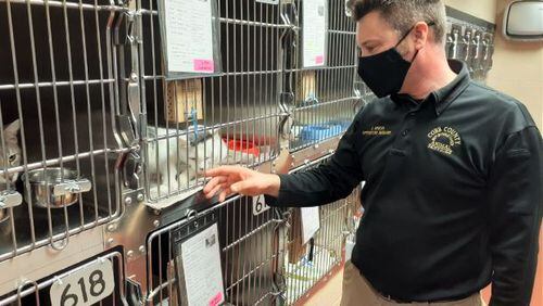 Cobb County Animal Services Shelter Operations Manager Jacob Arnold shows the kennel's cats on Thursday, Oct. 7, 2021. More than 240 cats and kittens at the shelter either adopted or pulled by area rescue groups in September, the largest month since before the pandemic. (Matt Bruce/AJC)