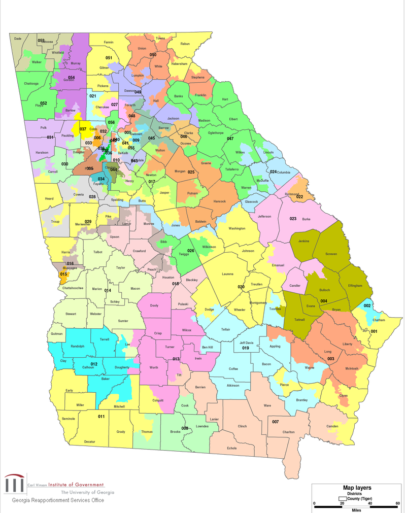 As Democrats were losing their grip on Georgia in 2001, they passed a gerrymandered map of state Senate districts that was later struck down in court.