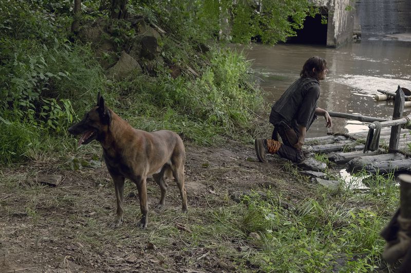 Norman Reedus as Daryl DixonÂ - The Walking Dead _ Season 9, Episode 7 - Photo Credit: Gene Page/AMC