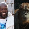 Marietta actor Peter Macon (left) voices wise orangutan Raka in the film "Kingdom of the Planet of the Apes," set many 300 years after the last film and out May 10, 2024. Alex J. Berliner/ABImages, 20TH CENTURY STUDIOS
