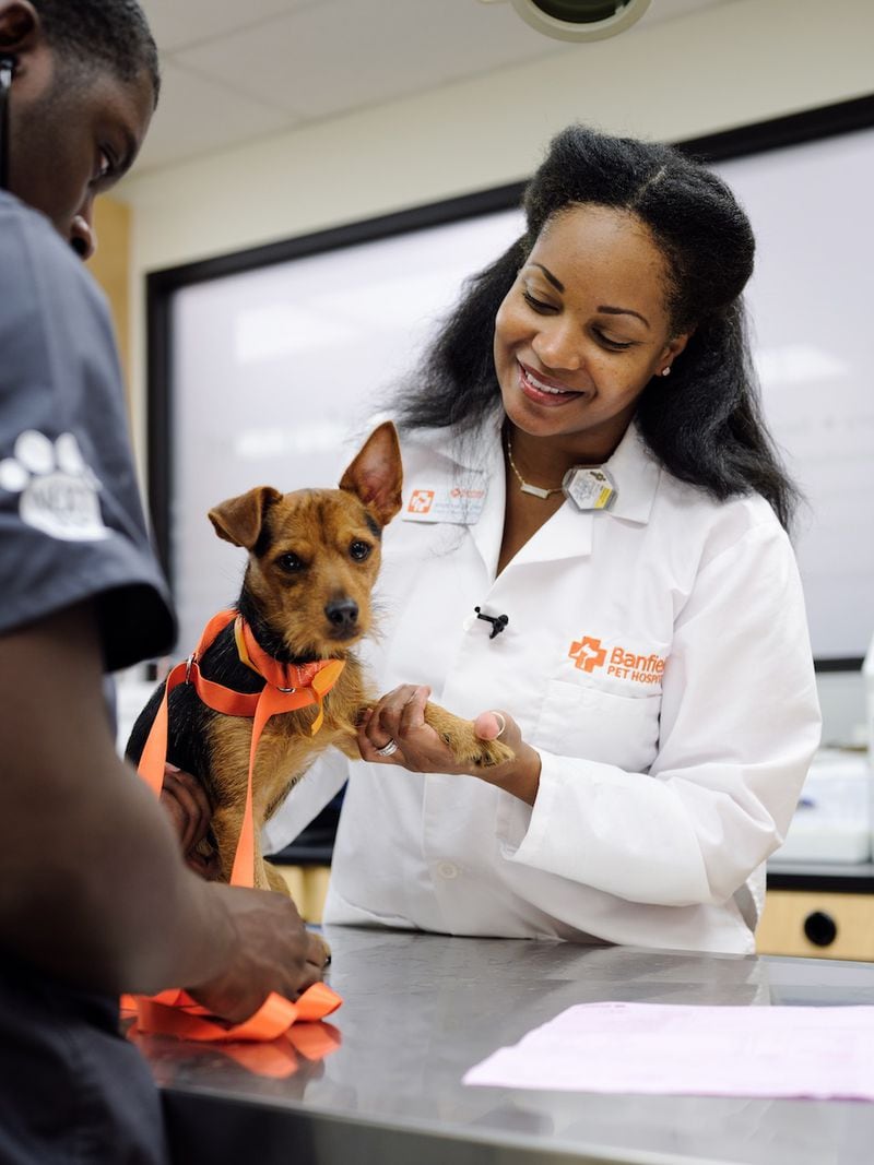 NextVet intern Elias Dennis, left, and Dr. Beverly Miller, Director of Veterinary Quality at Banfield Pet Hospital. Photo courtesy of Banfield Pet Hospital