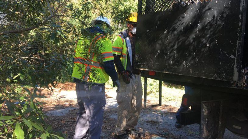 After apologizing for the error Tuesday, the Georgia Department of Transportation and other crews started removing the deer carcasses from a metro Atlanta dead-end road.