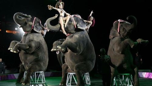 The Yaarab Shrine Circus Elephants with the Hanneford Dancers.