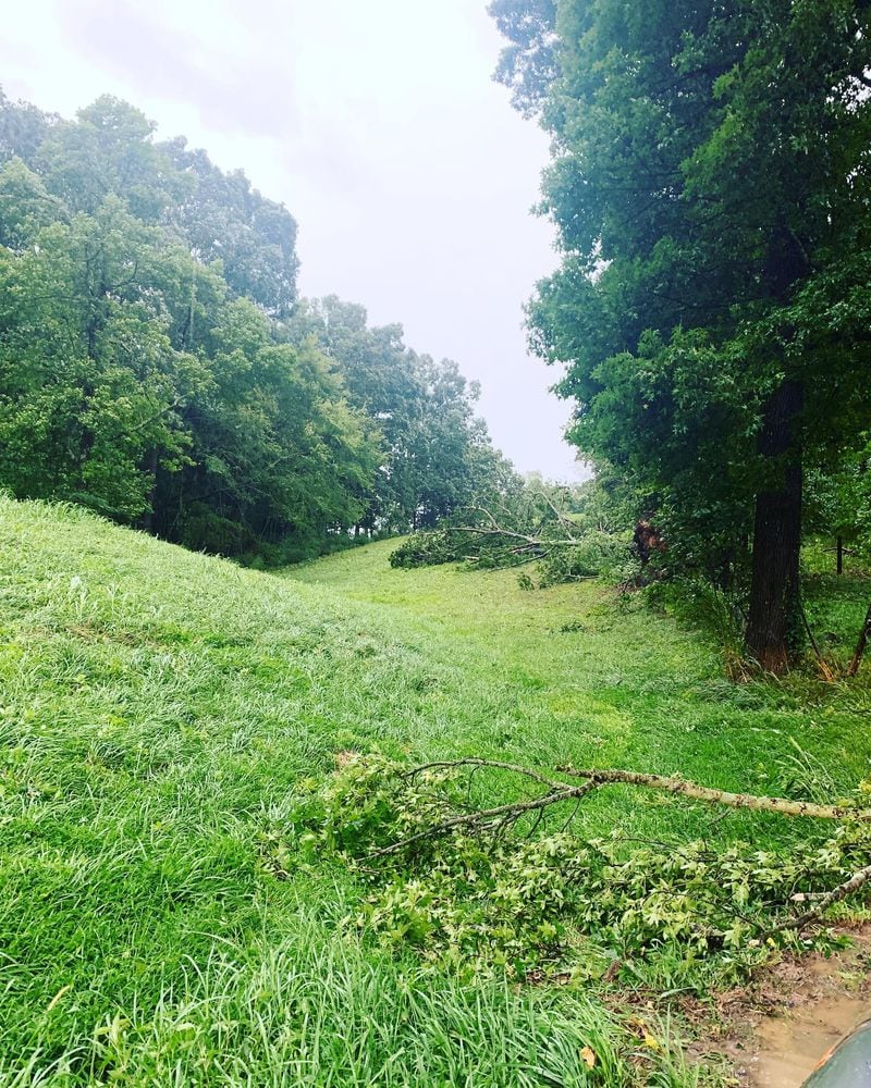 At least two giant oak trees came crashing down Thursday afternoon on Tammy Stafford's property during severe storms, she told The Atlanta Journal-Constitution.