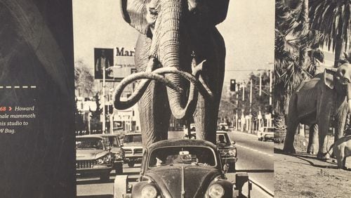 Just another day in Los Angeles: A VW transports a prehistoric elephant (scientific name: Mammuthus).