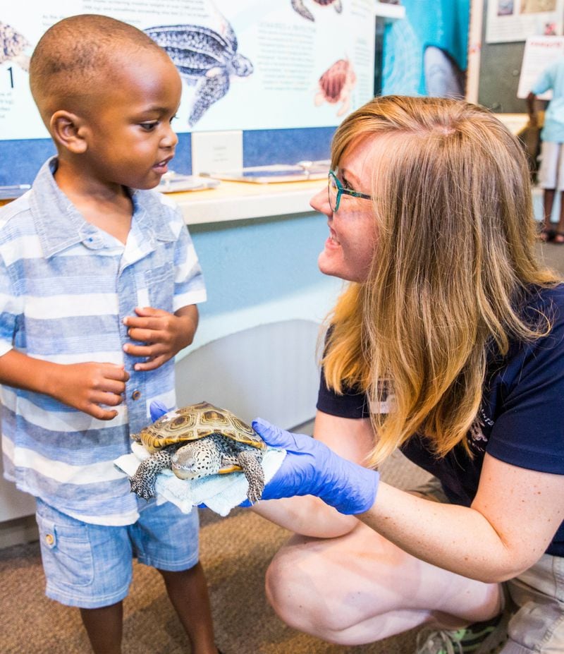 Kids can get an up close look at sea turtles at the Georgia Sea Turtle Center.