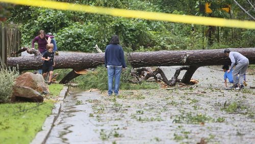 September,12 , 2017-Atlanta- People jumped a fallen tree on First Ave. in Kirkwood neighborhood, earlier fire fighters arrived to the scene due to a gas leak in Dekalb County. (Miguel Martinez / MundoHispanico)