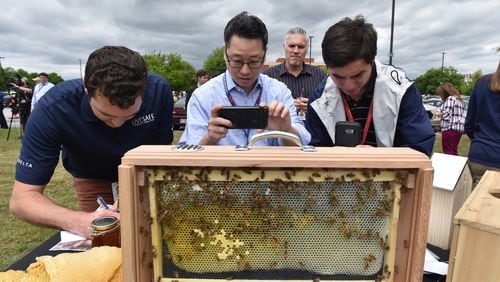Delta employees take pictures of a display bee hive during an event revealing three bee hives via partnership with Bee Downtown at Delta headquarters. HYOSUB SHIN / HSHIN@AJC.COM