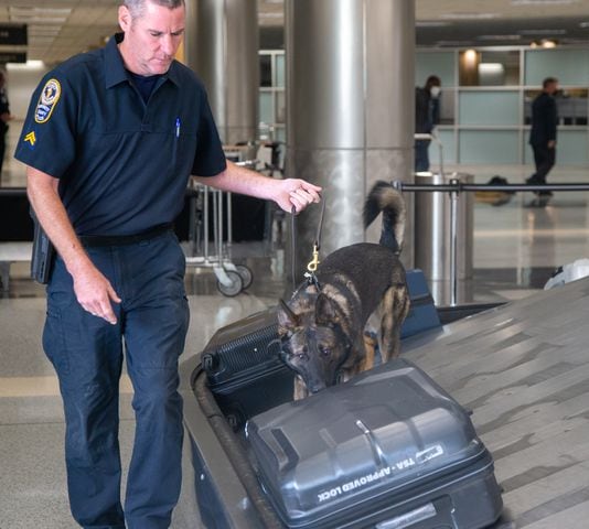 Gwinnett County Police K-9 officer Stan Jones works with Riggs on the luggage carousel in E Concourse. The U.S. Customs and Border Protection Office of Field Operations Port of Atlanta hosted a two-day K-9 training conference at Hartsfield-Jackson Atlanta International Airport (ATL). K-9 detection dogs from the U.S. Customs and Border Protection, Georgia Department of Correction, Georgia State Patrol, Union City, Newnan, Bowden Police and Clayton County Police participated in training exercises. PHIL SKINNER FOR THE ATLANTA JOURNAL-CONSTITUTION.