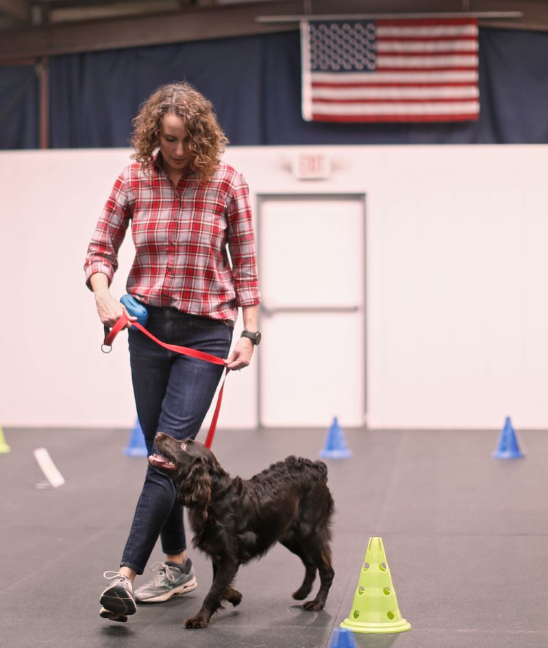  Karla Jacobs works with the family dog, Jackson (named for Jackson, WY) at an obedience training class in Marietta.    Bob Andres / robert.andres@ajc.com