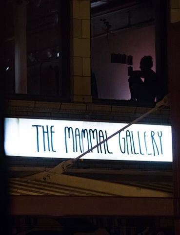 Mammal Gallery and the un sound