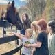 Students from a school group take a visit to Zorro's Crossing Horse Sanctuary. Zorro's Crossing, a place for discarded racing horses to find a forever home and healing. Photo contributed by Zorro's Crossing.