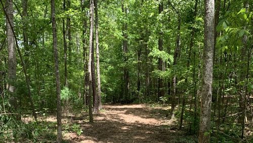 The Milton City Council is to discuss Monday a draft Community Trail Prioritization Plan for Birmingham Park (pictured) and other city green space. CITY OF MILTON
