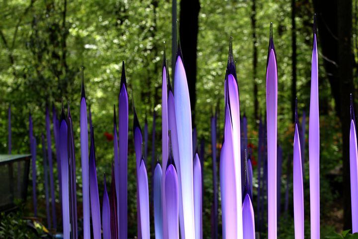 Chihuly Garden Installations | Atlanta Botanical Gardens