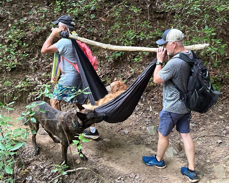 Hikers helped carry Prince down the mountain after he could no longer walk. Courtesy of Cheryl Hite