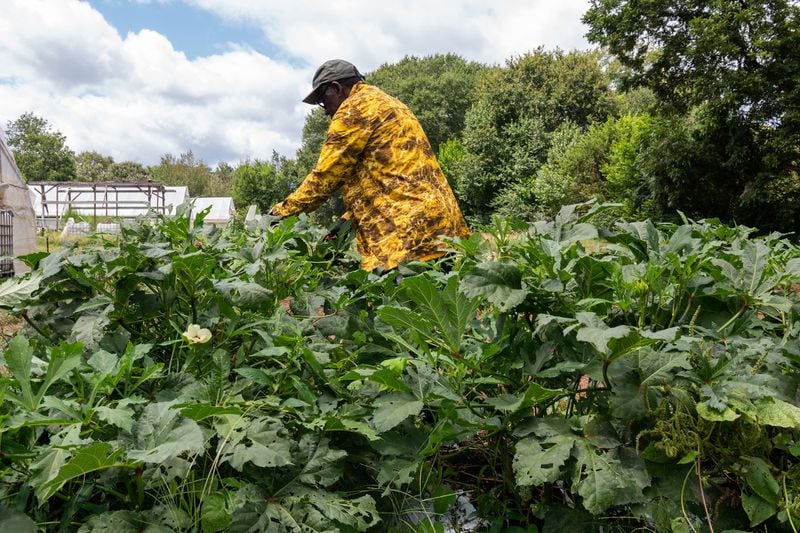 Farmers, environmentalists, surveyors and conservationists are shown in the photo project "Lost in Sight" engaging with the water that emerges from near the Atlanta airport to eventually become the Flint River.
Courtesy of Virginie Kippelen