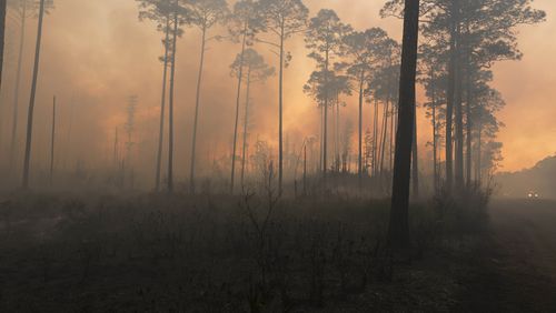 The Okefenokee swamp is ablaze.  Photo Credit: Josh O'Connor - USFWS