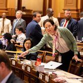State Rep. Anne Allen Westbrook, D-Savannah, votes on an election bill on Thursday at the state Capitol in Atlanta.