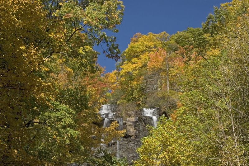 Amicalola Falls State Park is another area with beautiful fall leaves.
Photo: Courtesy of Georgia State Parks & Historic Sites