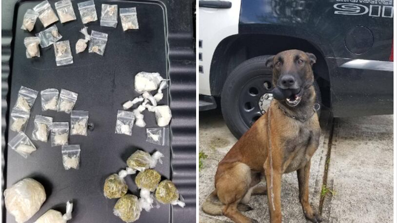 On the left are drugs allegedly found in a car. On the right is Apex, a Marietta K-9 who cops say found the drugs.