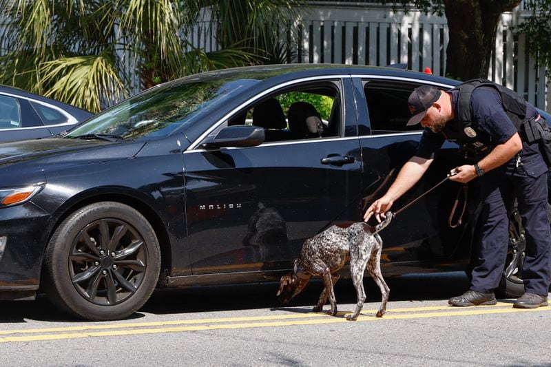 A Tybee Island Police Department K-9 unit officer and dog check a vehicle during a traffic stop on Butler Ave. on Saturday,  April 20, 2024. (Natrice Miller/ AJC)