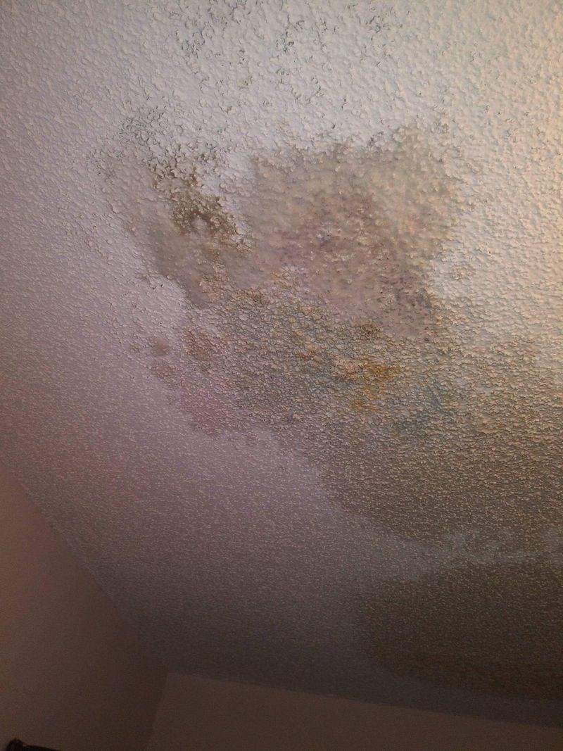Images of mold at Daryl Henley's apartment at ReNew Sandy Springs. Photo Courtesy Daryl Henley