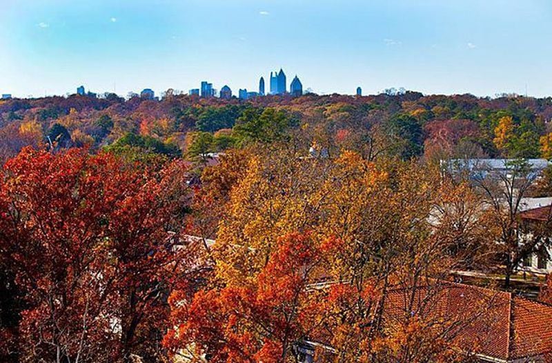 One of the reasons Best College Reviews considers Atlanta's Emory University one of the nation's most beautiful campuses is its autumn color display, typically in late October.