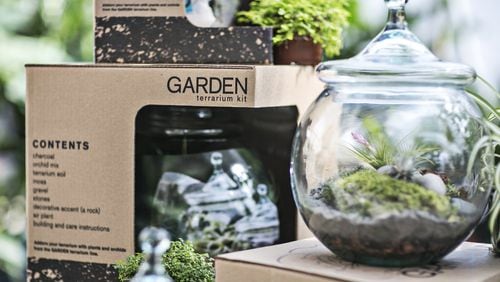 A Garden Terrarium Kit by Matthew Klyn includes one glass terrarium globe, hens and chicks succulent seeds, orchid mix, potting soil, moss, gravel and an instructional booklet. The kits come in a variety of sizes with prices ranging from $37-$70. CONTRIBUTED BY ACE INTOWN ATLANTA HARDWARE