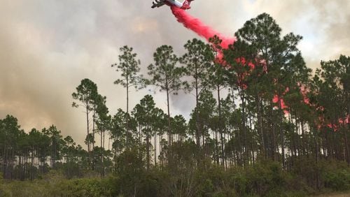 Crews are battling a 20,000-acre fire in the Okefenokee National Wildlife Refuge in southeast Georgia. (Credit: Twitter / GaTrees)