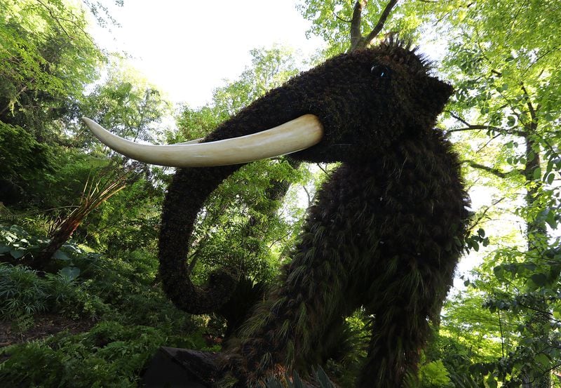 The Mammoth sculpture in the Anne Cox Chambers Southern Seasons Garden is one of the delicate works of art in Imaginary Worlds at Atlanta Botanical Garden on Monday, April 30, 2018, in Atlanta.     Curtis Compton/ccompton@ajc.com