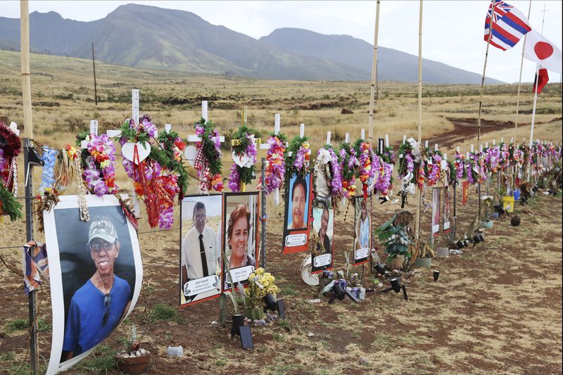 A roadside memorial dedicated to the Maui wildfires victims is seen, Friday, April 12, 2024, in Lahaina, Hawaii. More than half a year after the deadliest U.S. wildfire in more than a century burned through a historic Maui town, officials are still trying to determine exactly what went wrong and how to prevent similar catastrophes in the future. But two reports released this week are filling in some of the blanks. (AP Photo/Marco Garcia)