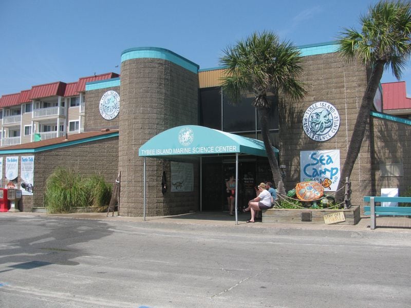 Tybee Island Marine Science Center features small aquariums of sea life and hosts educational demonstrations and beach walks. SUZANNE VAN ATTEN / SVANATTEN@AJC.COM