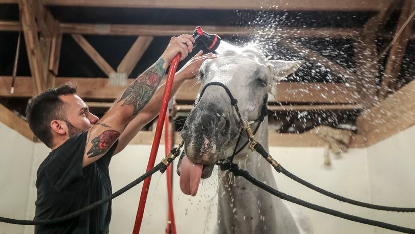 Horses of the Atlanta police mounted patrol get baths before going out and coming back in regardless of the heat index. Atlanta police officer, Juan Restrepo gives Hercules a bath in July 2022 before going out on patrol at the Atlanta Police Department Mounted Patrol stables. The mounted patrol find their horses plenty of shade during the summer months.