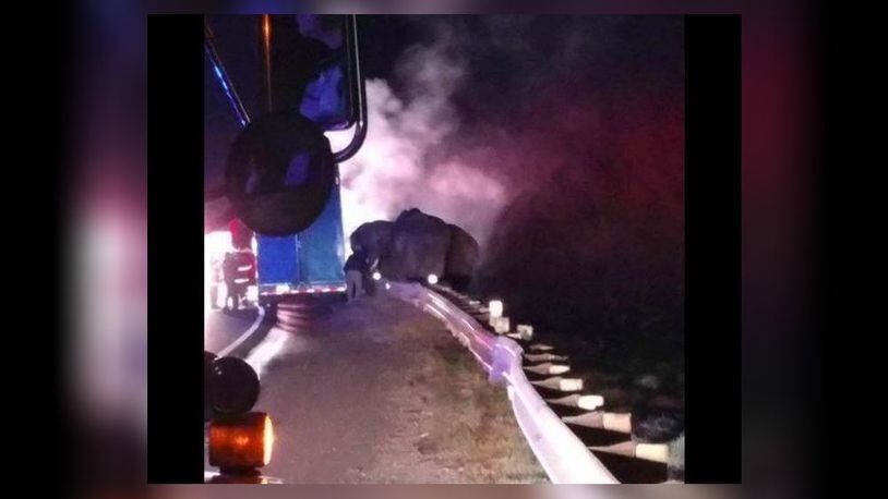 Elephants were spotted on the interstate during a tractor-trailer fire in northwest Georgia.