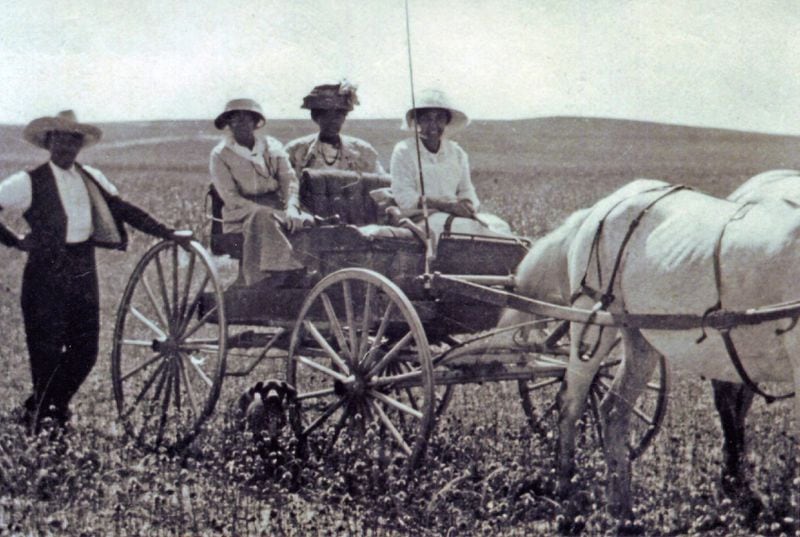 Dr. W.A. Jones poses with three unidentified ladies in a horse-drawn wagon in Dearfield, Colo. (Courtesy of Charles Nuckolls)