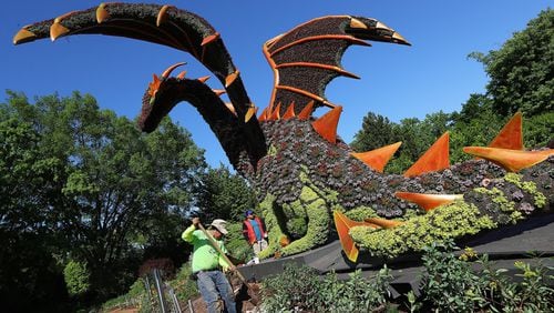 Workers put the finishing touch on the Sleeping Princess and Dragon sculpture, one of the delicate works of art in Imaginary Worlds at Atlanta Botanical Gardens. Curtis Compton/ccompton@ajc.com