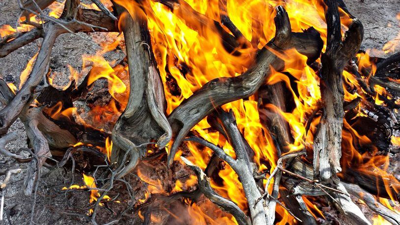 The Gwinnett County Fire Marshal’s office ordered a ban on outdoor burning beginning March 23 to free up fire and emergency services personnel during the COVID-19 pandemic. (File Photo)