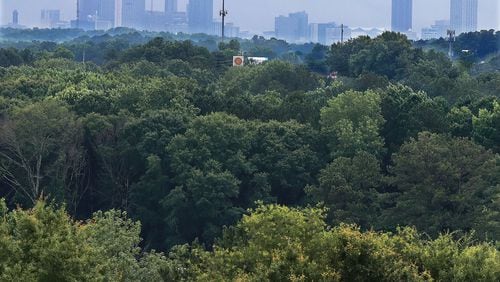 The Atlanta skyline is seen over a tree canopy from the top of Spaghetti Junction at I-285. Atlanta has 47.9% of land within Atlanta city limits that is shaded by urban tree canopy, according to a 2014 study from Georgia Tech. CURTIS COMPTON / CCOMPTON@AJC.COM