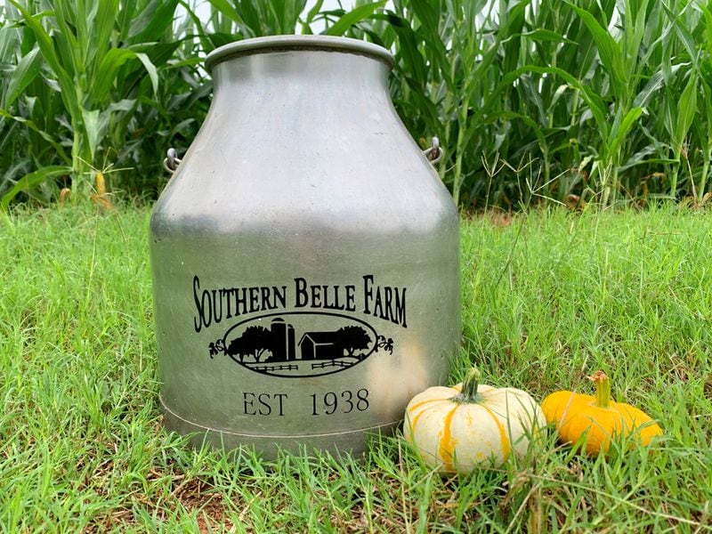 Southern Belle Farm's activity admission includes access to their 4-acre corn maze, pumpkin patch, cow train ride, slides, jumping pillow and more. 
Courtesy of Meghan Threadgill/Southern Belle Farm