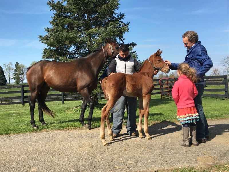 Tyler Alexander and daughter Ali admire a weanling that grew up to be Kentucky Derby entrant Plus Que Parfait. (Photo courtesy Calloway Stables)