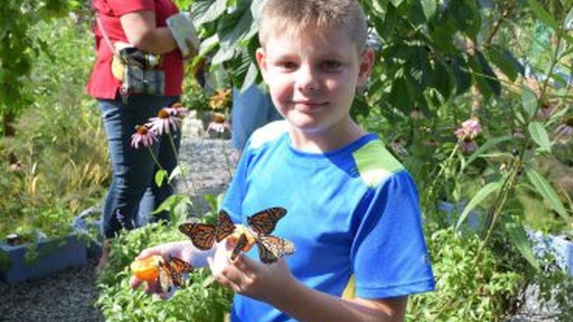 A Garden with Wings: Butterfly House is open through Sept. 16 (weather permitting). 9 a.m. to 4 p.m. Tuesdays through Saturdays but open until 7 p.m. Saturdays in August. $5 to $7, free for children ages 5 and younger with family. Smith-Gilbert Gardens, 2382 Pine Mountain Road, Kennesaw. Visitors may view butterflies in all stages of life. See the new Pollinator Garden and the Southern Living® Plant Collection next to the Butterfly House with ideas for backyard plants. 770-919-0248, SmithGilbertGardens.com.