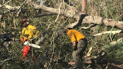 Crews from the Georgia Forestry Commission helped deal with the aftermath of Hurricane Michael. PHOTO: Georgia Forestry Commission