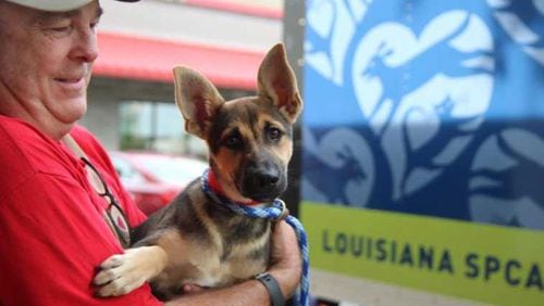 Atlanta’s Humane Society is helping the Louisiana SPCA in its animal rescue efforts from Hurricane Harvey.