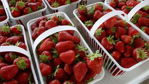 Pick your own strawberries at Washington Farms in Loganville.