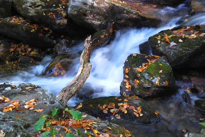 Smith Creek below Anna Ruby Falls located in Unicoi State Park, White County, Ga.