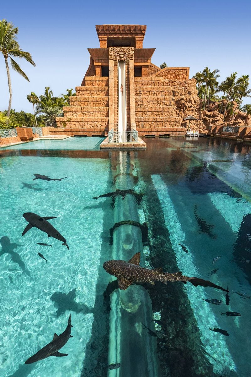 The Leap of Faith waterslide at Atlantis Paradise Island in the Bahamas has a 60-foot drop. CONTRIBUTED BY ATLANTIS PARADISE ISLAND