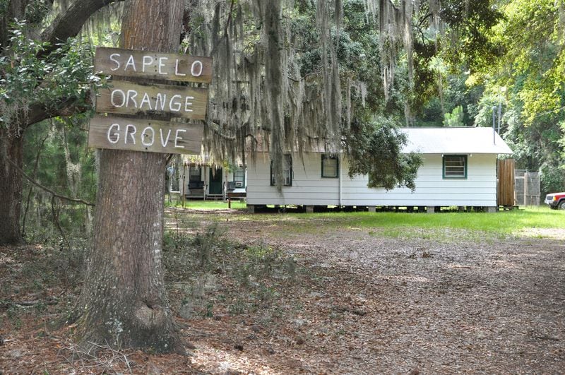 Hogg Hummock is among the historic sites named in the Places in the Peril list published by the Georgia Trust for Historic Preservation. Photos: the Georgia Trust