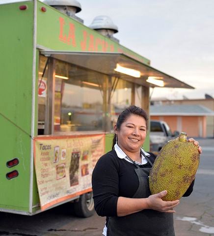 Are you ready for a jackfruit taco?