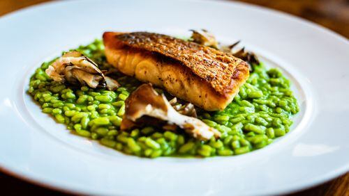 Gulf red snapper at Mission + Market is paired with a beautiful risotto made with green tea.