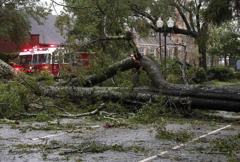 A fire truck in Wilmington, N.C., drives past a large tree blown over by Florence. (Photo: Mark Wilson / Getty Images)